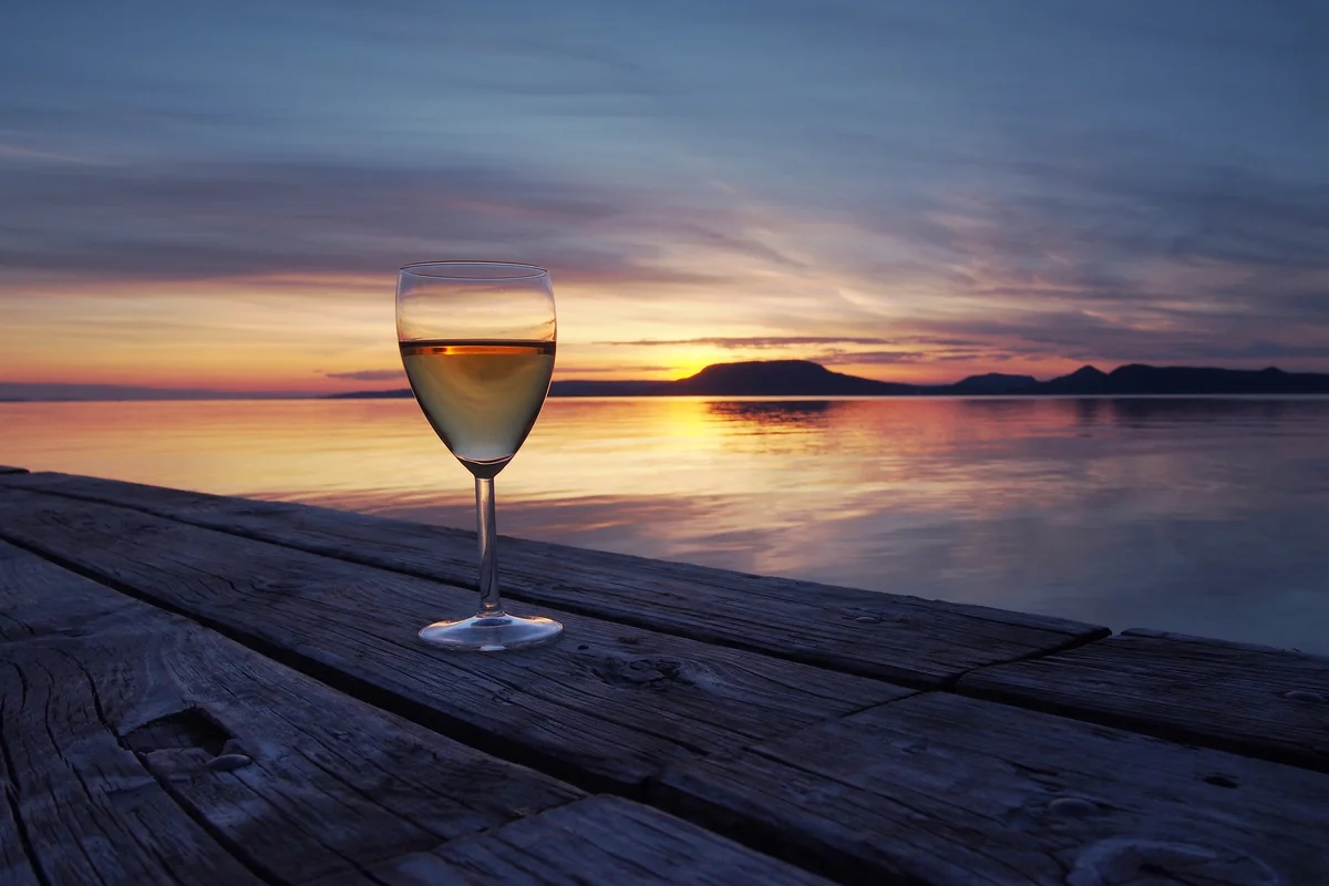 Wine tasting