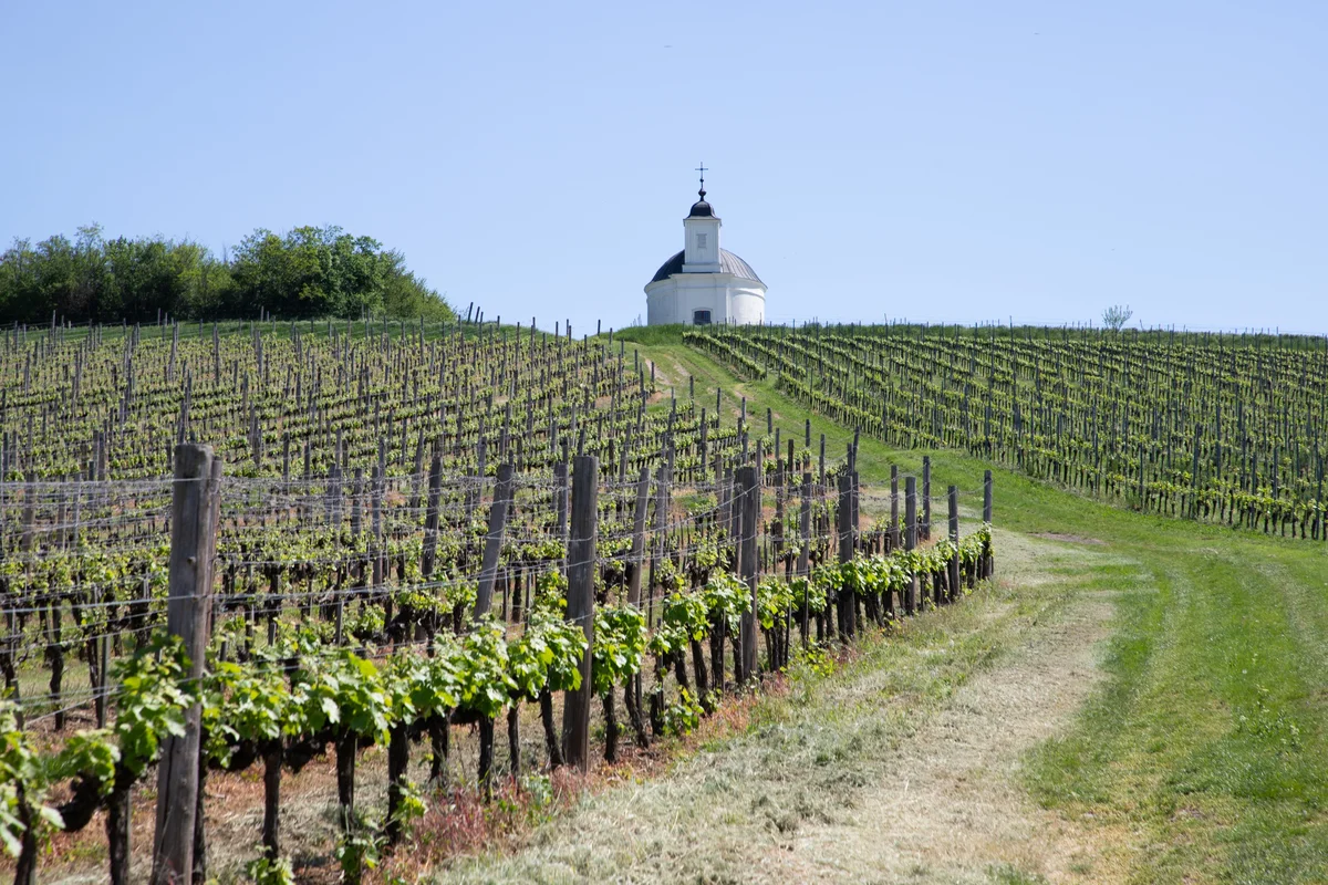 Tokaj