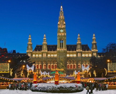 Christmas Market • Vienna, Austria