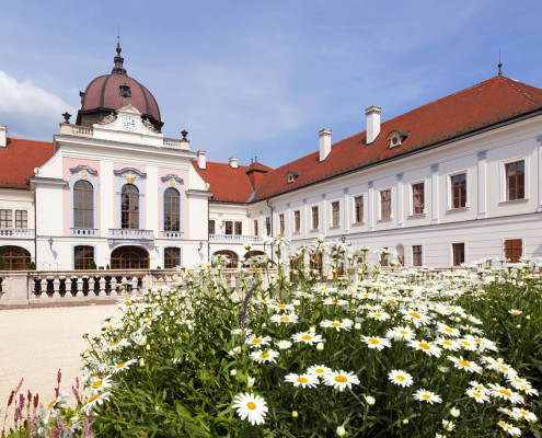 Grassalkovich Castle • Gödöllő, Hungary
