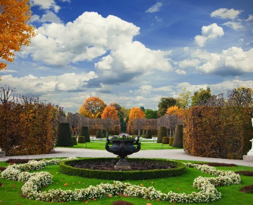 Schönbrunn Garden • Vienna, Austria