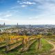 Vienna Panoramic Vineyards • Vienna, Austria